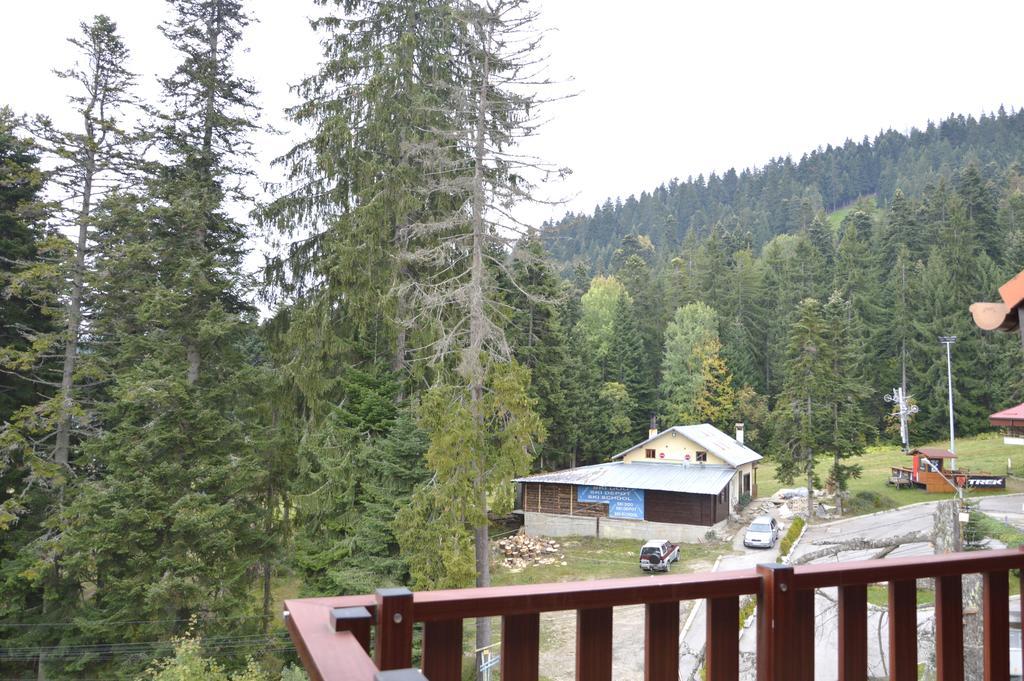 Persey Flora Apartments Borovets Dış mekan fotoğraf
