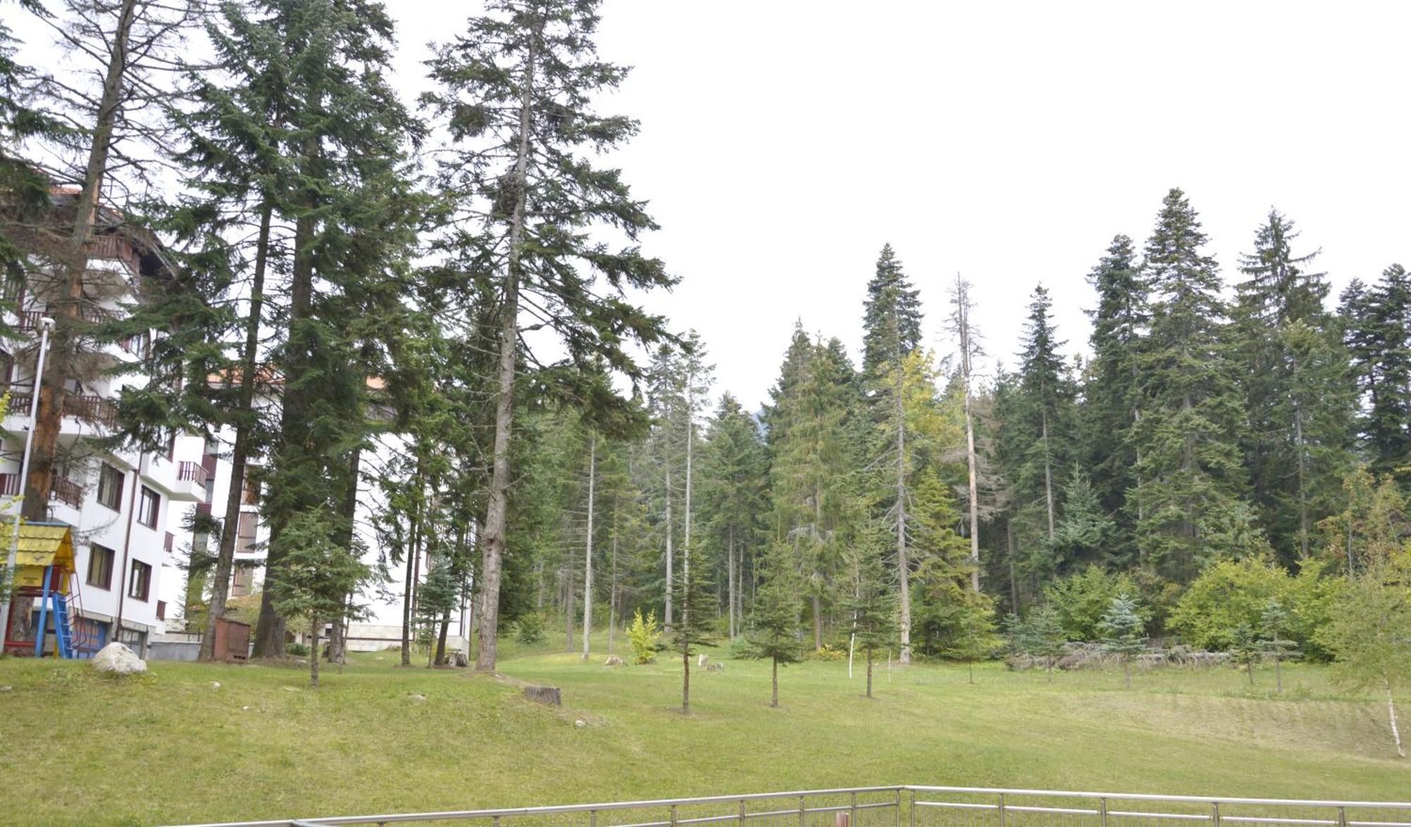 Persey Flora Apartments Borovets Dış mekan fotoğraf