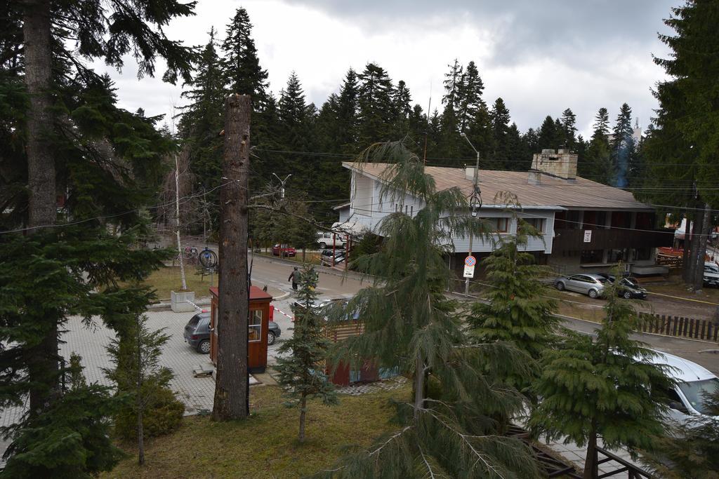 Persey Flora Apartments Borovets Dış mekan fotoğraf